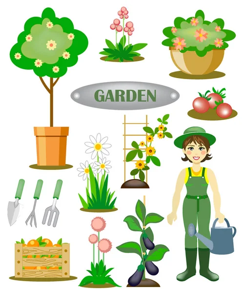 Garden Banner Girl Gardener Seasonal Harvest Work Vector Illustration