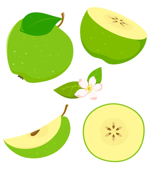 Conjunto de manzana verde aislada en estilo de dibujos animados con floración. Ilustración vectorial sobre fondo blanco . — Archivo Imágenes Vectoriales