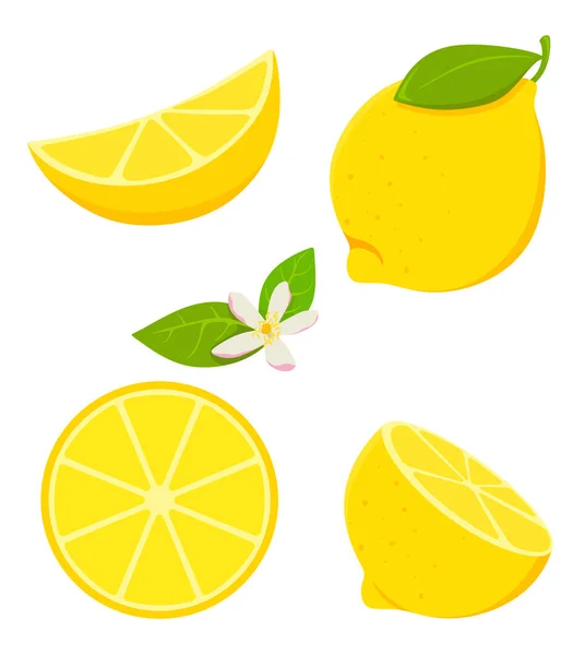 Seperangkat lemon terisolasi dalam gaya kartun dengan berbunga. Ilustrasi vektor pada latar belakang putih . - Stok Vektor