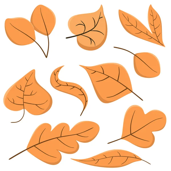 Set Van Herfst Bladeren Een Cartoon Stijl Vector Isolaten Een — Stockvector