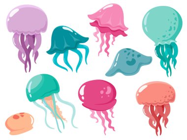 Deniz anayıldızları seti. Vektör karikatür tarzında denizanası koleksiyonu izole.