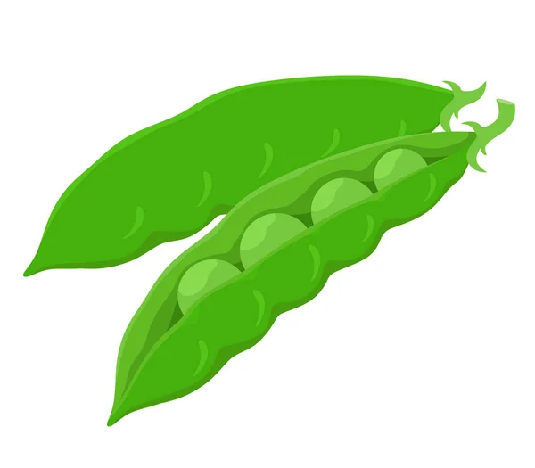 Kacang Polong Hijau Muda Dengan Kacang Polong Vektor Ilustrasi Dalam - Stok Vektor