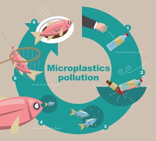 Illustratief Diagram Van Hoe Microplastics Het Milieu Vervuilen — Stockvector