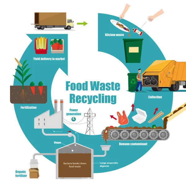 Ilustrativní Schéma Procesu Recyklace Potravinového Odpadu — Stockový vektor