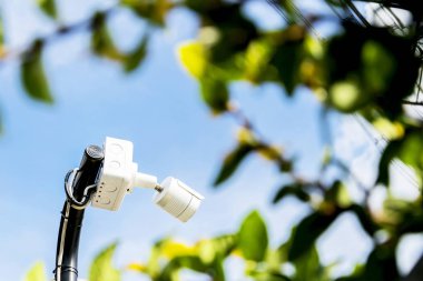 Güvenlik görevlisi, dijital güvenlik görevlisi, güvenlik kamerası ile tehlikeleri önlemek için binaya kamera yerleştirdi. Hırsızlar bir şeyler çalmak, açık bina dışında yüklü.