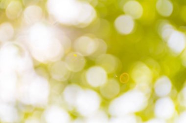 Yeşil arka plan. Güzel bokeh göz alıcı. Doğal renkler çekici görünüyor.