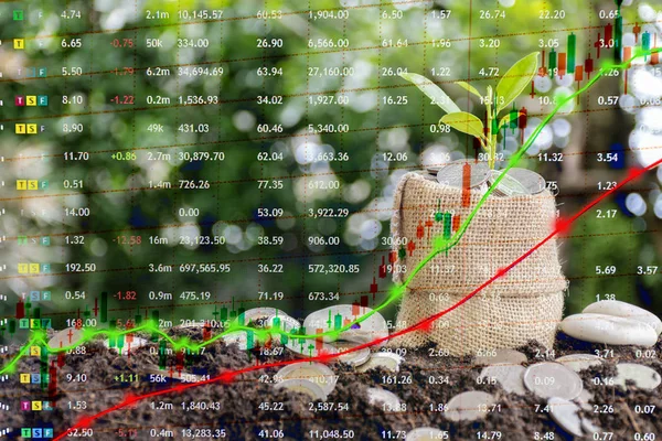 Bitki Büyüme Finansal Büyüme Sikke Yerleştirilmiş Kahverengi Çanta Para Çıktı — Stok fotoğraf