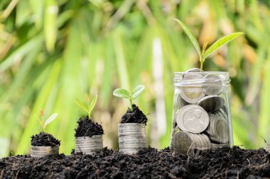 Finansal büyüme iş sektör ihtiyaçları var. Ağaç üzerinde yığılmış sikke büyüyor. Bir düzine gözlük ile tam para yukarıdaki ağaç büyüyor vardır.