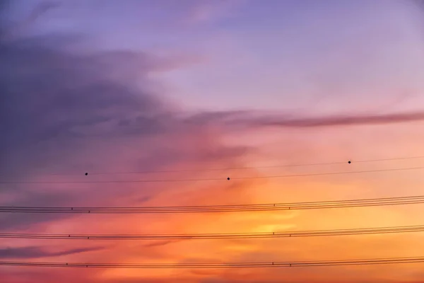Kable Wysokiego Napięcia Głowę Drugą Stronę Atmosfera Niebo Piękny Kolor — Zdjęcie stockowe