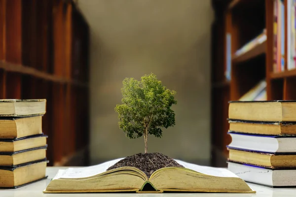 Образование Важно Книга Получилась Почва Ней Увеличить Интеллект Большое Дерево — стоковое фото
