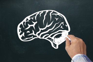 Beyaz tebeşir işleci. Yazı tahtası üzerinde beyin kroki çizim ver. Beyin fırtınası ve fikir kavramı