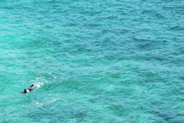 İnsanlar denizde güzel, lüks yaz macera yüzüyor. Mavi deniz, ışık yansıması, küçük dalgalar temizleyin.