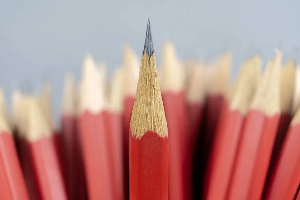 Leadership successful team leader, Red pencil that represents le