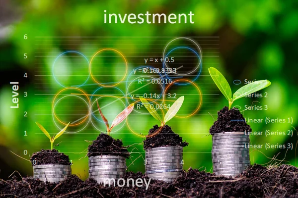 Financial Investment Concepts Little Green Seedlings Growing Soil Coins Overlap — Stock Photo, Image