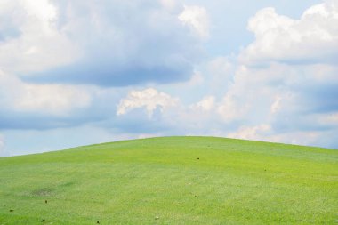 Beyaz bulutlar ve mavi gökyüzü ile güzel yeşil çayır tepe, arka plan konsepti