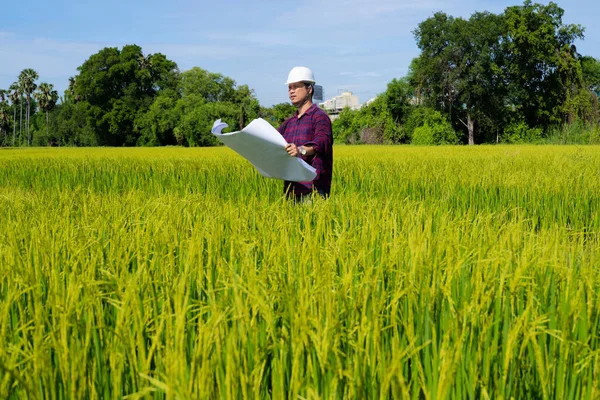 Businessman Surveying Land Industrial Project Selective Focus Hand Wear Red — Stock Photo, Image