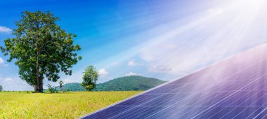 Güneş paneli, fotovoltaik, alternatif elektrik kaynağı - seçici odak Büyük ağaç, kopyalama alanı
