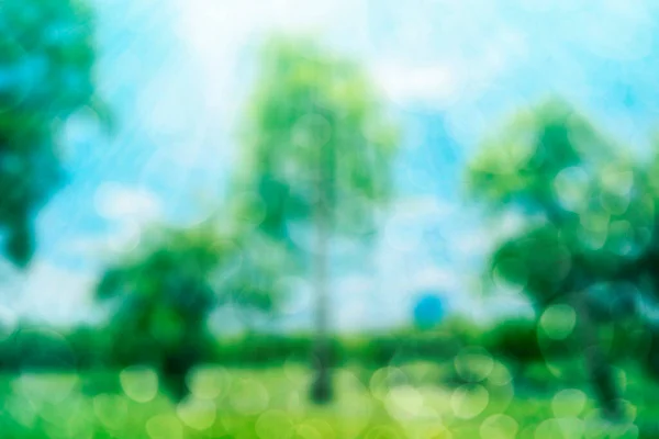 abstract blur green color for background,blurred and defocused effect spring concept for design,nature view of blurred greenery background in garden using as background natural,fresh wallpaper concept