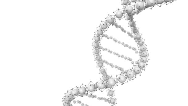 Geanimeerde Lus Dna Ketting Model Rendering — Stockvideo