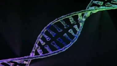 Animasyonlu Dna zinciri modeli. 3D render