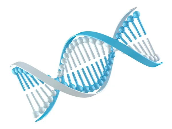 Molecular Biology Genetics Medical Concept Rendu — Photo