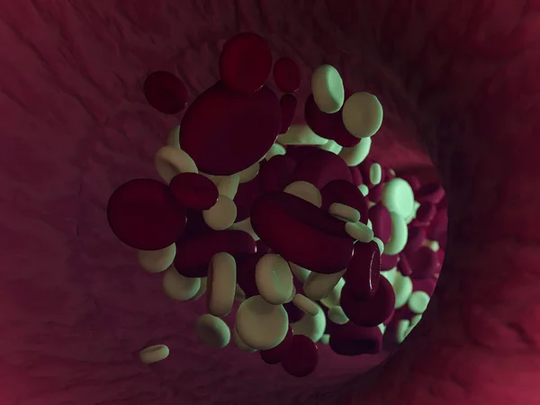 Czerwone krwinki. Naukowa ilustracja krwiobiegu. 3d — Zdjęcie stockowe