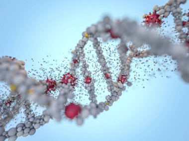 Covid-19. Patojen solunum koronavirüsü 2019-ncov gribi. Virüs DNA 'ya saldırır. 3B görüntüleme