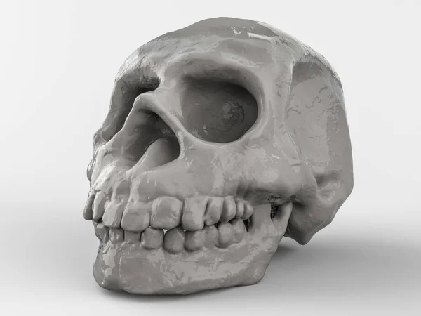 Crânio Humano Abstrato Sobre Fundo Branco Renderização — Fotografia de Stock