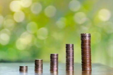 Para büyütme, para biriktirme. İş büyütme kavramını gösteren yüksek ağaç sikkeleri