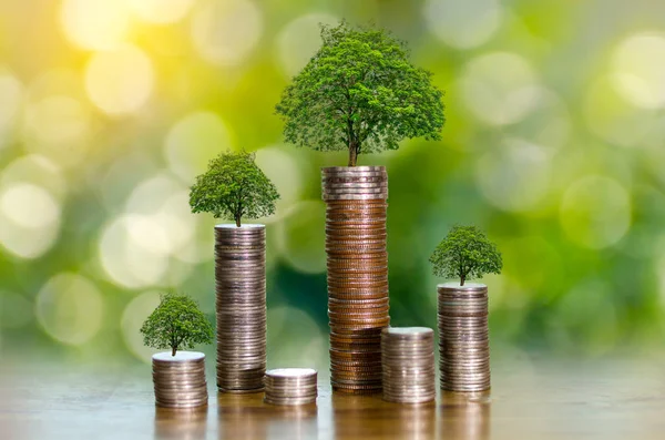 Hand Coin Tree Wächst Der Baum Auf Dem Haufen Geld — Stockfoto