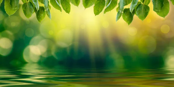 Water Reflection Bokeh Blur Green Background — Stock Photo, Image