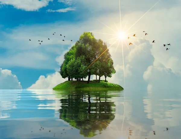 Insel Meer Baum Sommerurlaub Entspannen Baum Der Mitte Des Meeres — Stockfoto