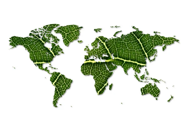 Mapa Del Mundo Ecológico Hecho Hojas Verdes Mapa Hoja Verde —  Fotos de Stock