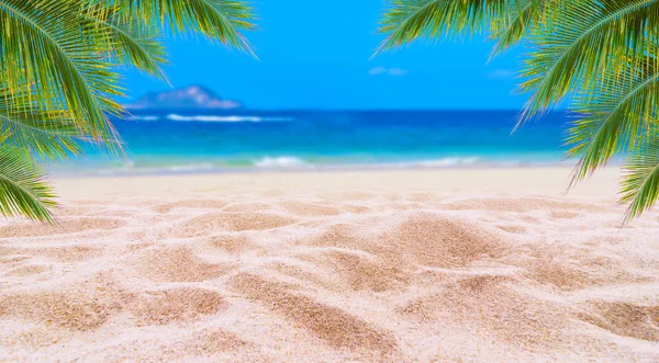 Verão Férias Praia Areia Branca Com Espaço Para Texto Folhas — Fotografia de Stock