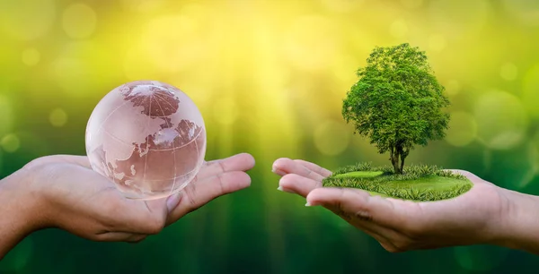 Begreppet Spara Världen Spara Miljön Världen Händerna Gröna Bokeh Bakgrunden — Stockfoto