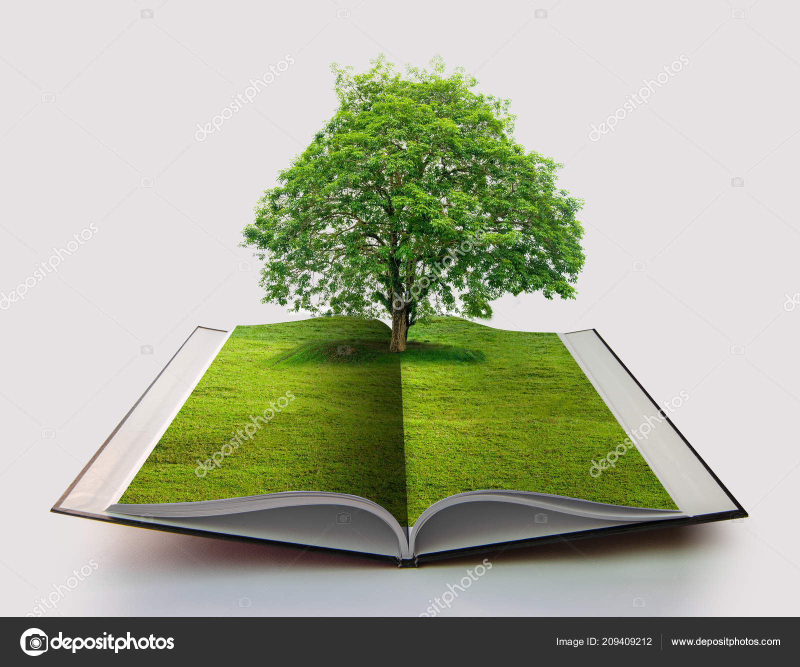 Livre Nature Isolé Sur Blanc Livre Ouvert Dans Concept Recyclage — Photo