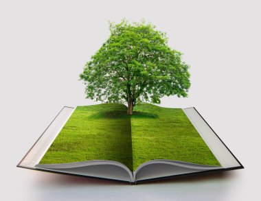 doğa izole kavramı 3d render bir kitap çim ve ağaç büyüme ile doğanın beyaz mavi arka plan üzerinde geri dönüşüm Kağıt beyaz açık kitap üzerine kitap