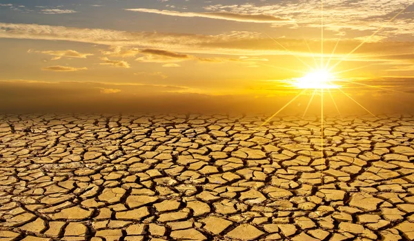 乾燥粘土土太陽砂漠グローバルいれる概念ひびの入った焦土土壌乾燥砂漠の風景ドラマチックな日没 — ストック写真
