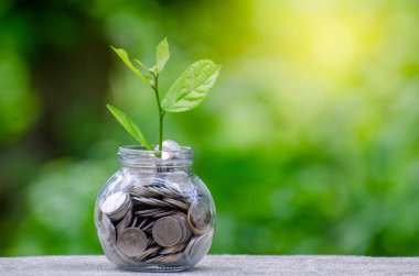 para şişe banknotlar banknot görüntüsü ile iş yeşil doğal renkli para tasarruf ve yatırım finansal kavramı üzerinde büyüyen bitki ağaç