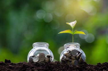 para şişe banknotlar banknot görüntüsü ile iş yeşil doğal renkli para tasarruf ve yatırım finansal kavramı üzerinde büyüyen bitki ağaç