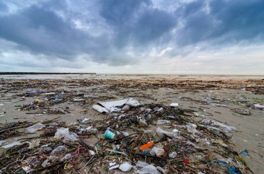 Çöp plaj deniz plastik şişe sahilde yatıyor ve deniz ve deniz yaşamı Spilled çöp büyük şehir sahilde hayat kirletiyor. Boş kirli plastik şişe kullanılan