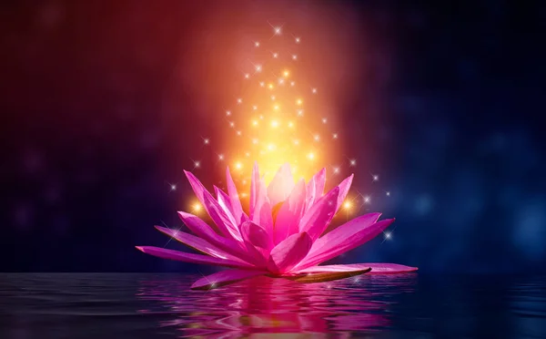 Lotus Rosa Licht Lila Schwimmendes Licht Funkeln Lila Hintergrund — Stockfoto