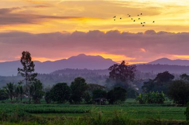 Akşam, altın gökyüzü, dağ sayısı Chiang Mai Tayland