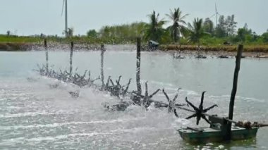 Su türbinleri yetiştiricilik havuzları video 4 k oksijen artırmak için kullanılır