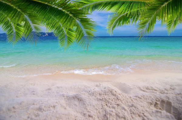 Vacaciones de verano playa de arena blanca con espacio para texto pulga de coco —  Fotos de Stock