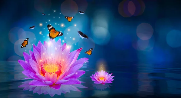 Fluturii Zboară Jurul Lotusului Violet Plutind Apă Bokeh — Fotografie, imagine de stoc