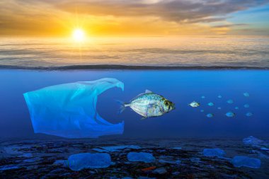 Fish that are approaching dying, floating on the surface, the impact of plastic waste in the sea concepts of nature conservation and the sea clipart