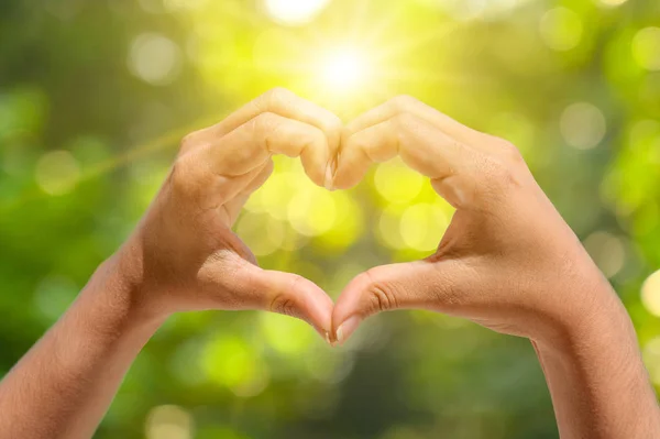 De handen van vrouwen en mannen zijn de hartvorm met de zon ligh — Stockfoto