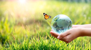 Kavram Dünyayı kurtar Çevreyi kurtar Dünya yeşil bokeh arka planının çimlerinde