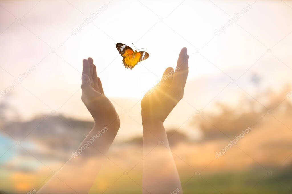 The girl frees the butterfly from  moment Concept of freedom